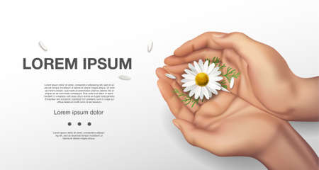 Fashion hand art chamomile natural cosmetics women, white beautiful chamomile flowers hand with, hand care. Creative beauty photo girl sitting at table, on a white background. vector illustrationのイラスト素材