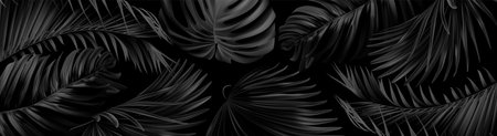 Vector horizontal banner with silver and black tropical leaves on dark background. Best web bannerのイラスト素材