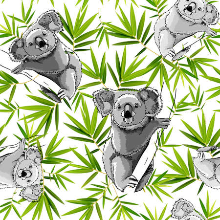Seamless pattern with hand-drawn cute Koalas and bamboo. vector illustrationのイラスト素材