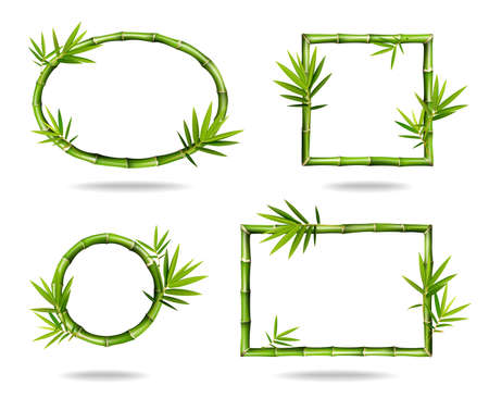 Bamboo frame collection. Vectorのイラスト素材