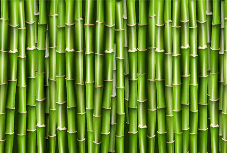 green bamboo backgroundのイラスト素材