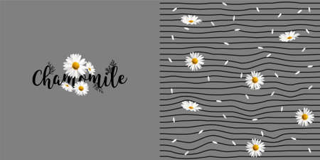 Graphic set typographic illustration with chamomile flowers and seamless pattern with stripes and flowers. Beautiful girlish color vector graphics for clothes T-shirtのイラスト素材