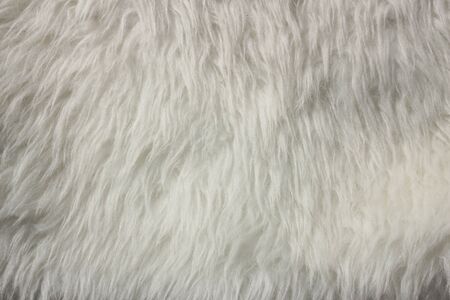 Fur texture backgroundの写真素材