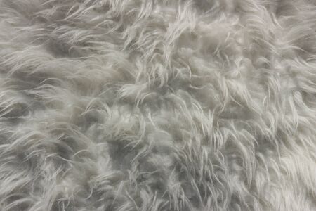 Fur texture backgroundの写真素材
