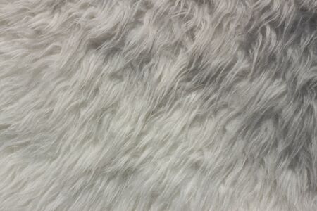 Fur texture backgroundの写真素材