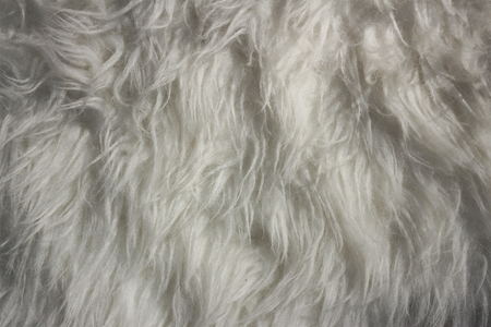 Fur texture backgroundの写真素材