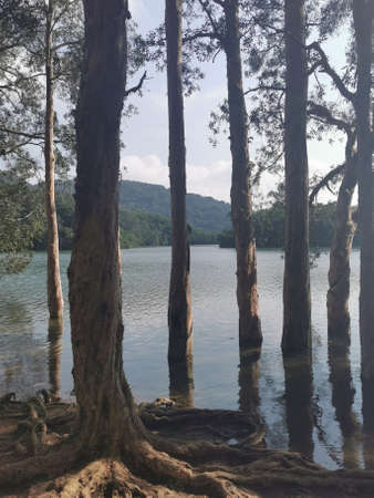 Shing Mun Reservoir