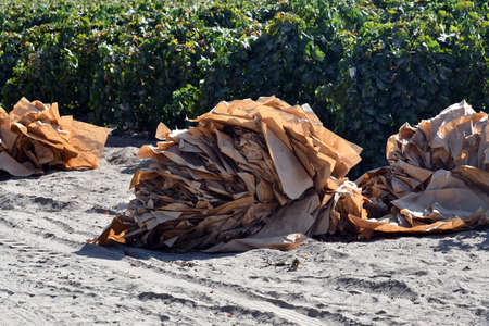 piles bundled use raisin paperの写真素材