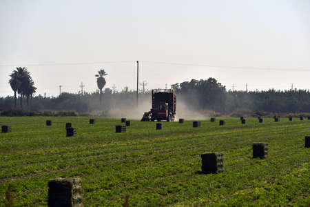 Multiple hay bales infield