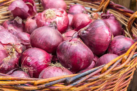 fresh red onions in a basketの写真素材