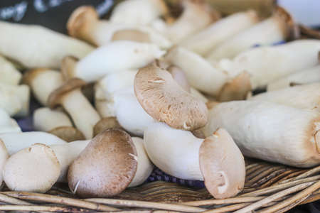 closeup of healthy fresh shiitaki mushrooms gathered in basketの写真素材