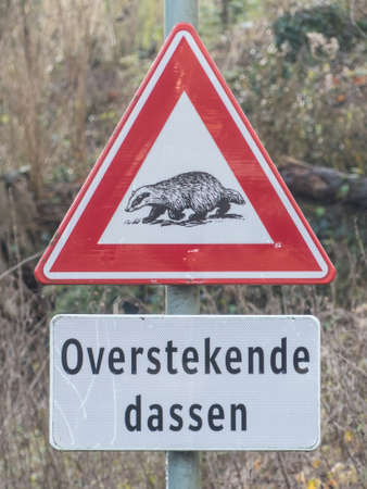 Valkenburg, Limburg, the Netherlands -January 1 2018: badger crossing warning sign on the side of a rural country roadのeditorial素材