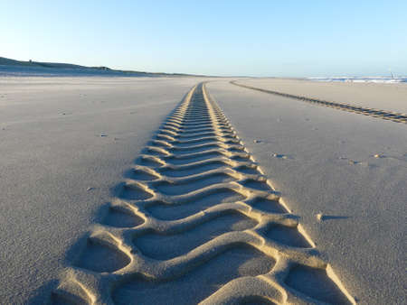 Tire tracks on smooth sandy deserted beach on sunny day with blue skyの写真素材