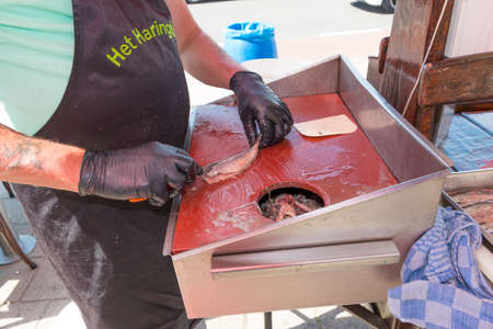 Scheveningen, the Netherlands - June 23 2019: fish retailer cleaning new season herring for eating at his shop stallのeditorial素材
