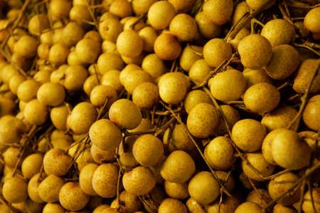 A big pile of longans ready for sale.                     の写真素材