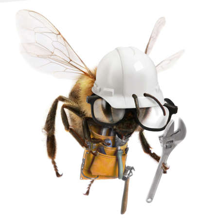 A worker Bee with construction attire and equiipment