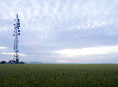 Paddy Rice field with Radio Station Antenna during Sunrise at Malaysia, Sekinchanの写真素材