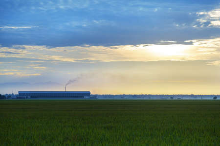 A long short of a rice processing factory during sunrise at Sekinchan, Malaysia  の写真素材