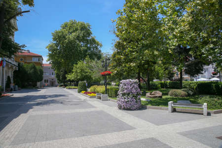 The area with flowers and trees in the city in the summerの写真素材