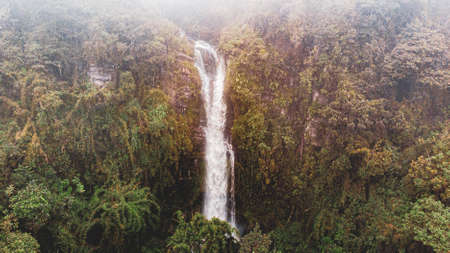 Waterfall in green mountain with long exposureの写真素材