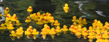 Many Ducky Toy Little Yellow Rubber Duck Bath Toy floating on the riverの写真素材