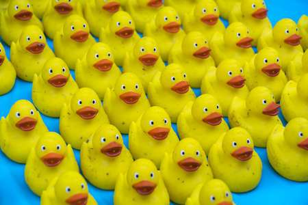 Many Ducky Toy Little Yellow Rubber Duck Bath Toyの写真素材