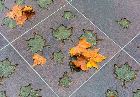 LONDON, UNITED KINGDOM - NOVEMBER 25, 2018: Bronze and natural maple leaves in the Canada Memorial in Green Parkのeditorial素材