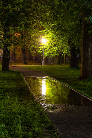 Composition with an empty alley and a lantern. Street lamp illuminates the trees and reflected in a puddleの写真素材