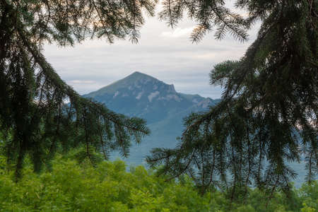 Silhouette of a mountain visible through the branches of fir trees