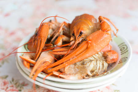 Plate with boiled crawfishの写真素材