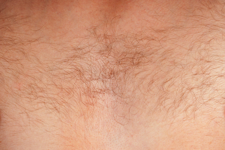 Close-up of a hairy chest of unrecognizable manの写真素材