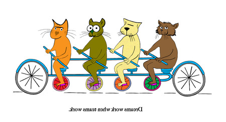 A group of cat friends are out for a ride.