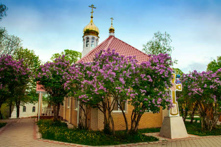 dome of the monastery of lilac blossomsのeditorial素材