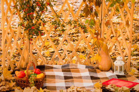 autumn background for photo shootの写真素材