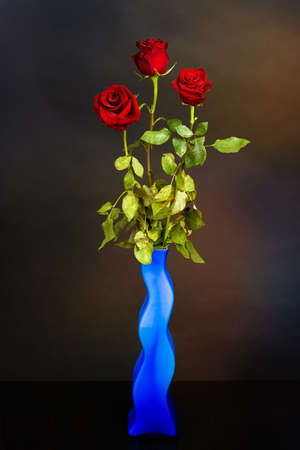 Three red roses in a blue vase on a black background,の写真素材