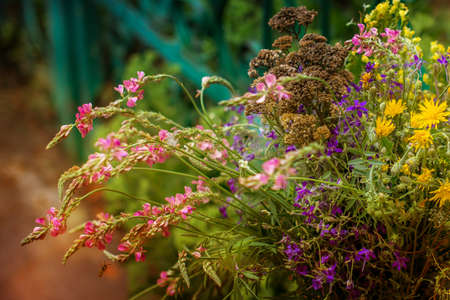 Bouquet of colorful wildflowers. Close up