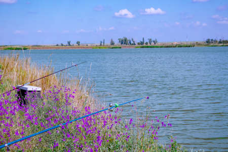 Two rods. Fishing on the lake.の写真素材