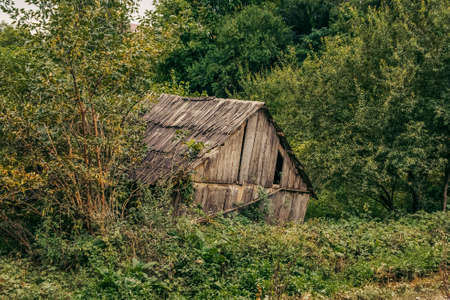 Old abandoned wooden house in the woodsの写真素材