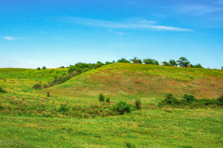 Trees grow on the hills covered with green grass. Green hillの写真素材