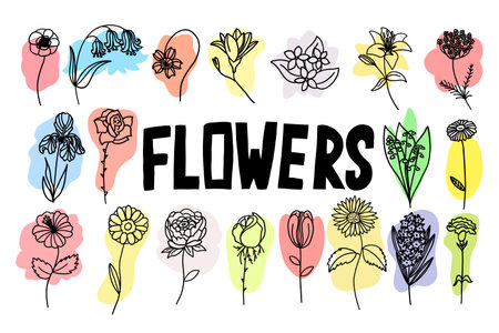 Flowers with colorful brush set in flat doodle cartoon style. Vector illustration set on white background.のイラスト素材