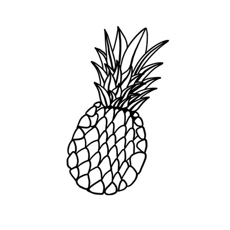 simple pineapple. Vector illustration in outline doodle style isolated on white background.のイラスト素材