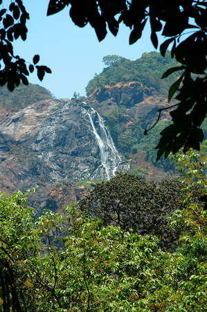 Goan jungle waterfallの写真素材