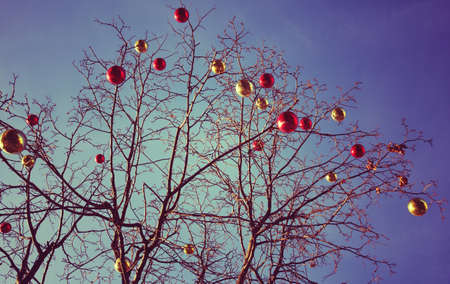 Bright colored Christmas decorations on a defoliated tree in Moscow, Russia