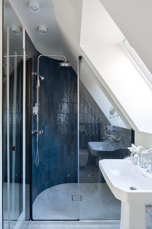a bathroom with a sink , toilet , shower and skylightの写真素材