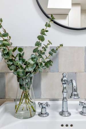 White vase with terrestrial plant on table beside mirror in interior designの写真素材