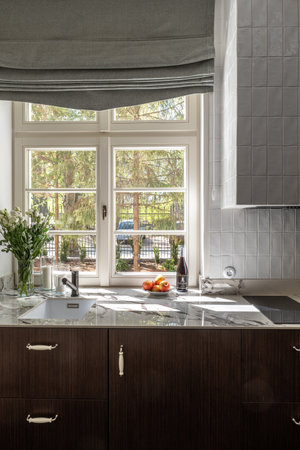 Building with cabinetry, countertop, sink, stove, window, and wood fixturesの写真素材