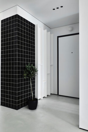 This entrance features a modern minimalist design with stylish elements for a contemporary look