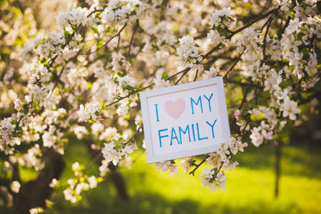 I love my family. Picture in blooming spring garden. Apple trees in blossoms. Spring sunny day. No people.の写真素材