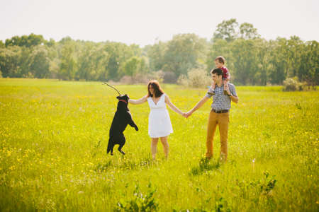 Happy family playing with black labrador dog in summer meadow. Father, mother, son holding hands