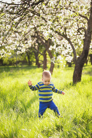 Cute little baby making his first steps successfully. Child playing outside on spring warm sunny day. Allergy seasonの写真素材